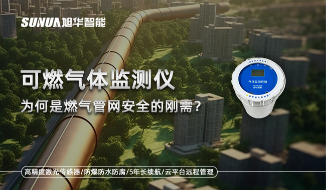 可燃气体监测仪